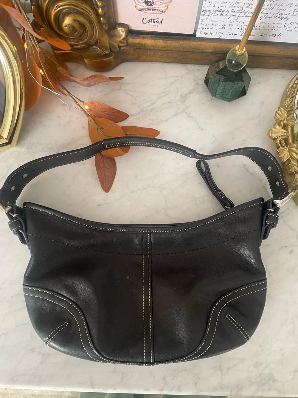 Coach Soho Hobo Bag, Mini, 9541